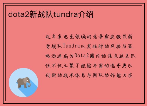 dota2新战队tundra介绍
